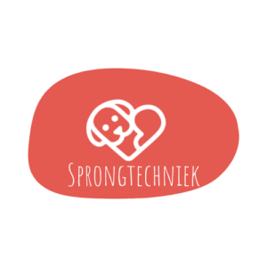 Sprongtechniek Online Basis